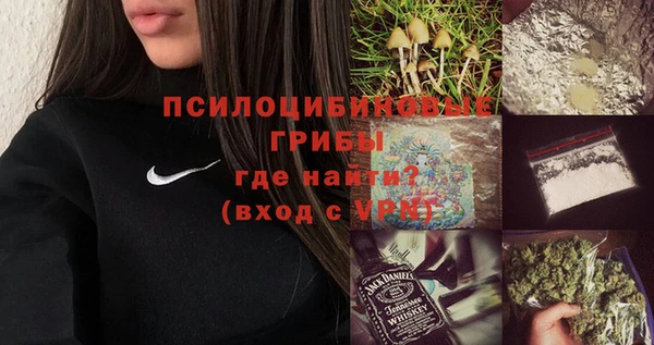 шишки Балахна