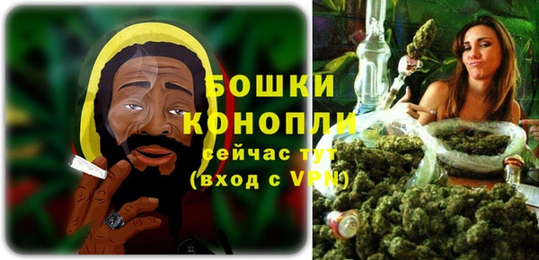 шишки Балахна