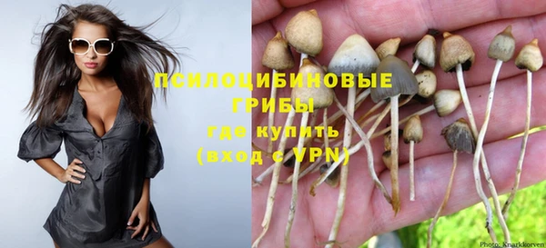 шишки Балахна